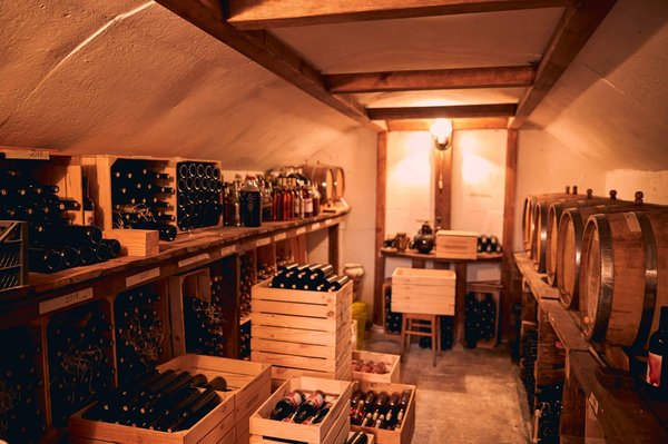 Qu'est-ce qu'une cave à vin : zoom sur le sujet !